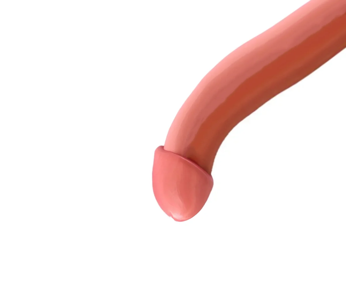 <span style="color:#ffffff">하향과 측면으로 휘어진 유형</span>
